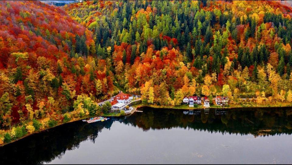 Bed and Breakfast Fregata Zagórze Śląskie Exteriér fotografie
