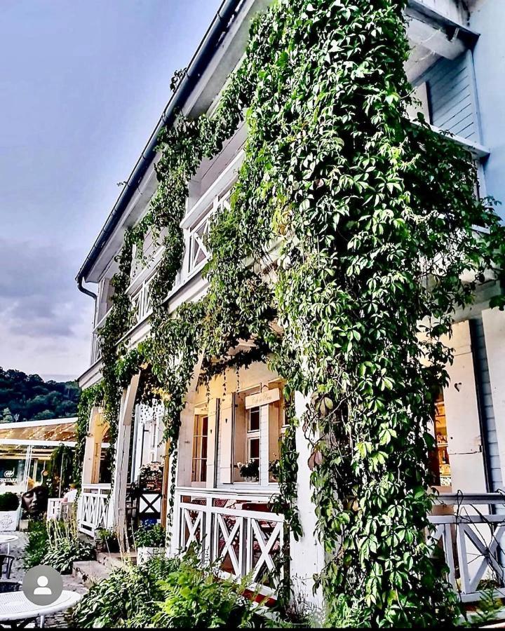 Bed and Breakfast Fregata Zagórze Śląskie Exteriér fotografie